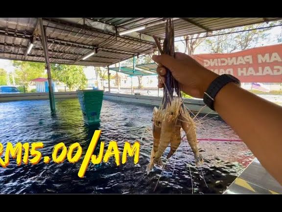 Kolam Pancing Udang Galah D'sebasu 1 kolam pancing udang galah dsebasu 1
