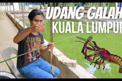 kolam pancing udang galah noramzah