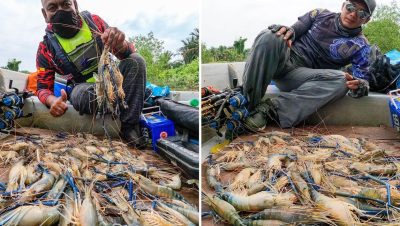kolam pancing udang galah penambang