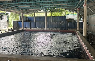 kolam pancing udang galah rizqeen bagan