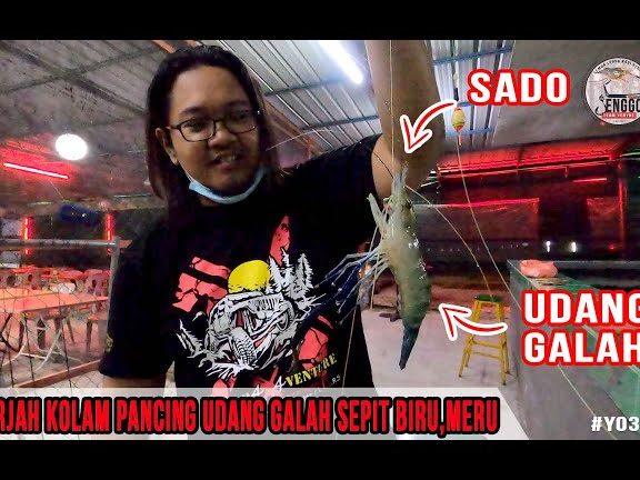 Kolam Pancing Udang Galah Sepit Biru Meru Klang 1 kolam pancing udang galah sepit biru meru klang