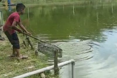 kolam pancing udang galah tanjung malim