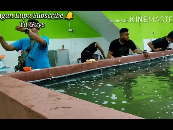 Kolam Pancing Udang Gool Melaka 1 kolam pancing udang gool melaka