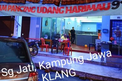 kolam pancing udang harimau kristal klang batu belah
