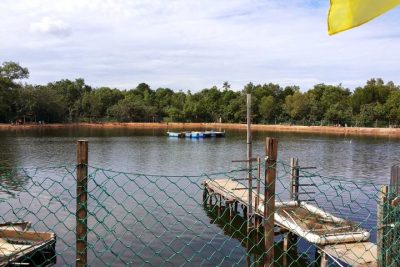 kolam pancing udang harimau kuala lukut