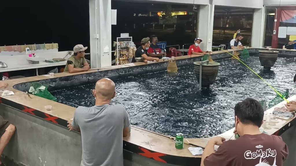 Kolam Pancing Udang Harimau Taman Perling, JB. 1 kolam pancing udang harimau taman perling jb