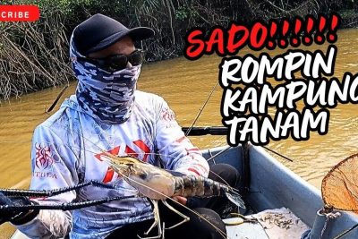 kolam pancing udang jenggo rompin