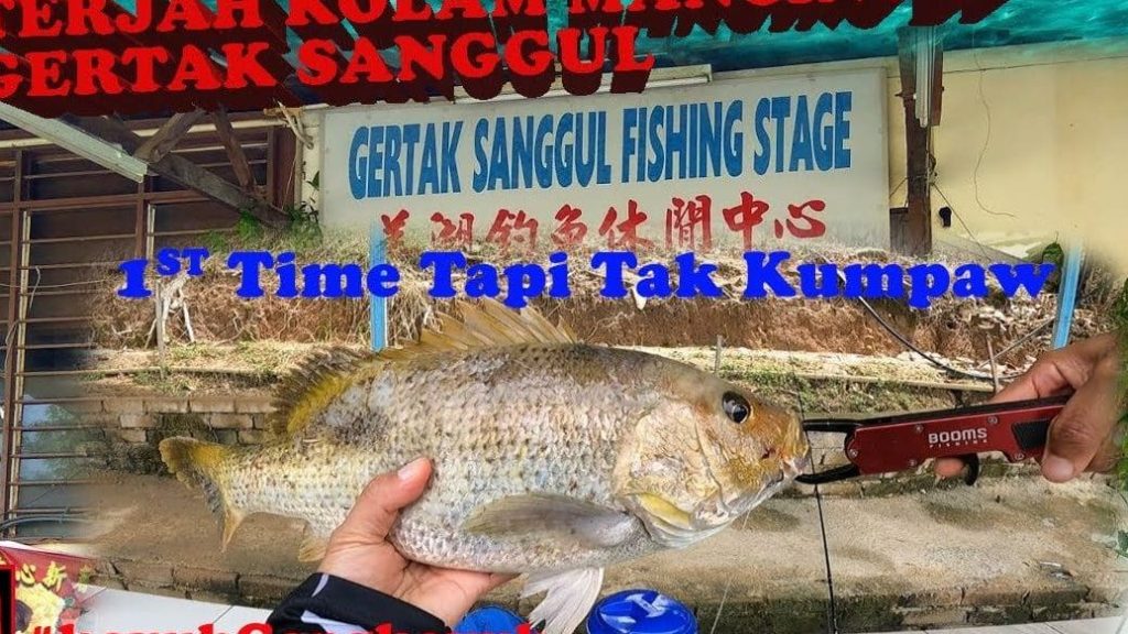 Kolam Pancing Udang Jimah Baru 1 kolam pancing udang jimah baru