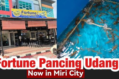 kolam pancing udang prawn city