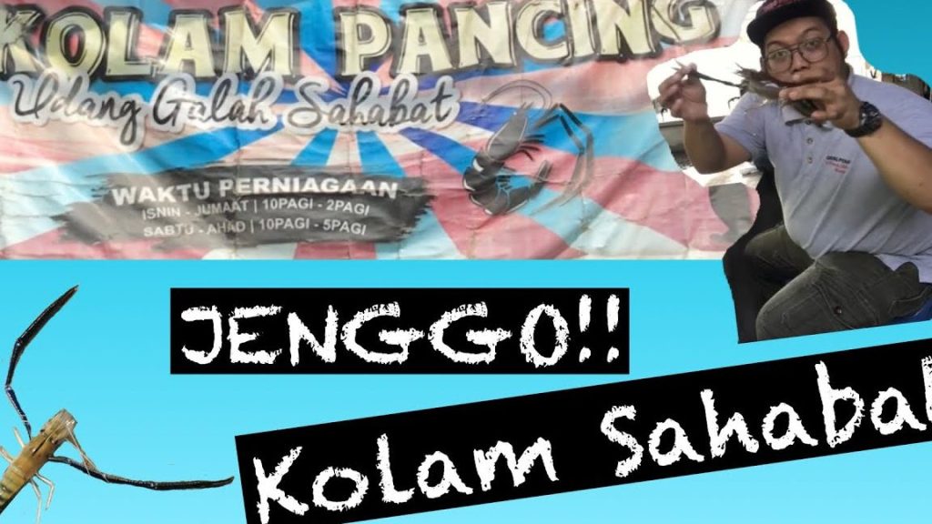 Kolam pancing udang Sg buloh (saujana) bros jenggo 1 kolam pancing udang sg buloh saujana bros jenggo