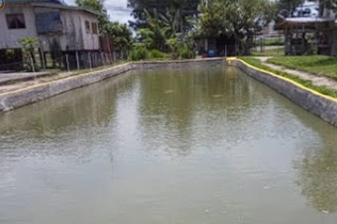 Kolam Tiqo-Tiqo 1 kolam tiqo tiqo 1