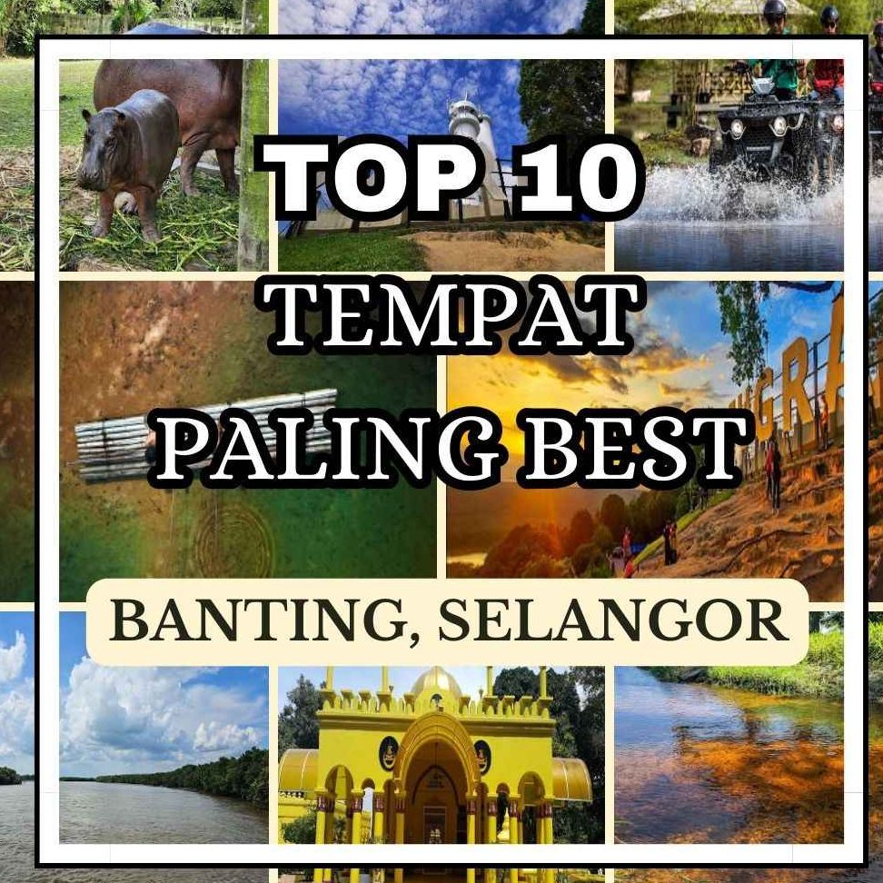 Kolam Udang di Banting, Malaysia: Panduan Lengkap untuk Pengunjung 2025 1 kolam udang di banting malaysia panduan lengkap untuk pengunjung 2025