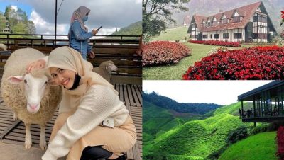 kolam udang di cameron highlands malaysia panduan lengkap untuk aktiviti santai seronok di tengah alam