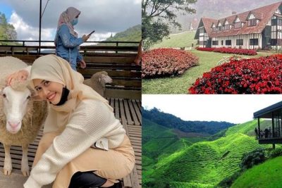 kolam udang di cameron highlands malaysia panduan lengkap untuk aktiviti santai seronok di tengah alam