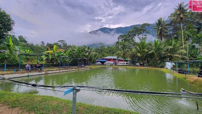 kolam udang di kuala lipis malaysia tempat terbaik untuk aktiviti memancing udang di pahang