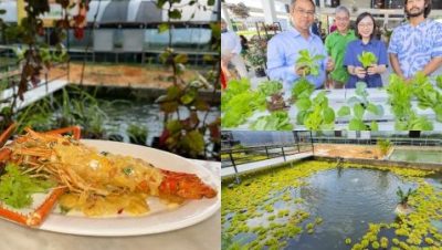 kolam udang di semdiyih malaysia panduan lengkap untuk pengunjung 2025