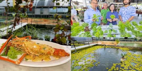 kolam udang di semporna malaysia panduan lengkap untuk pelancong dan peminat makanan laut