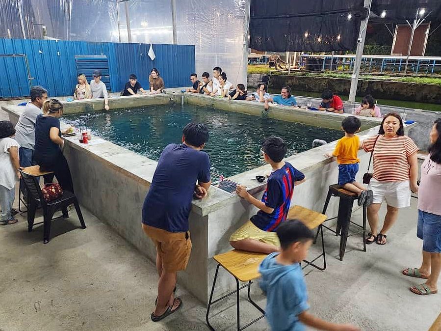 Kolam Udang di Simpang Empat, Malaysia: Tempat Terbaik Menikmati Udang Segar dan Aktiviti Rekreasi 1 kolam udang di simpang empat malaysia tempat terbaik menikmati udang segar dan aktiviti rekreasi