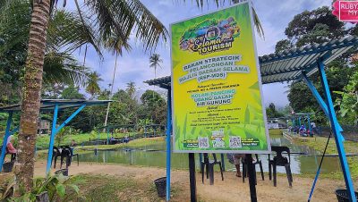 kolam udang di tuaran malaysia tempat terbaik untuk pengalaman memancing udang yang seru