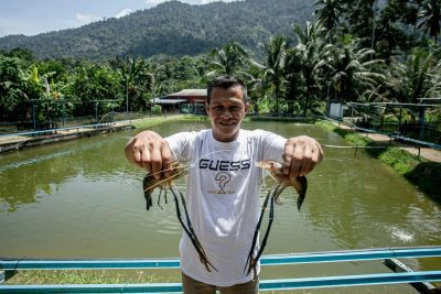 kolam udang galah bintong