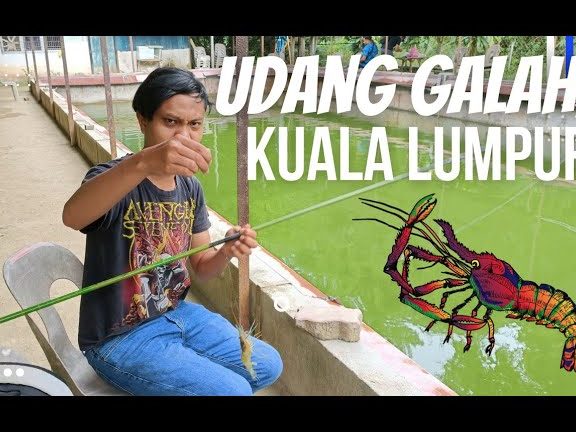 Kolam Udang Galah NSK Simpang Kuala 1 kolam udang galah nsk simpang kuala