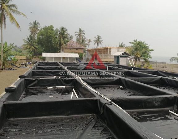 Kolam Udang Leman 1 kolam udang leman