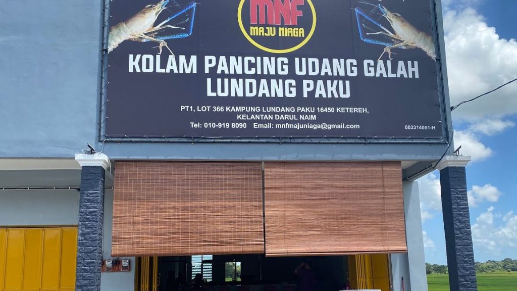 Maju Kolam Pancing Udang Galah 1 maju kolam pancing udang galah