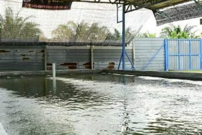 pancing udang kamunting enterprise 1