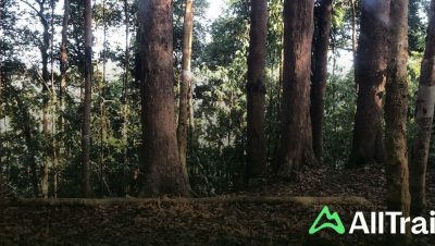 peranginan titi hayun 1