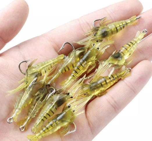 RAHMAN (JUAL UDANG HIDUP) UNTUK MEMANCING 1 rahman jual udang hidup untuk memancing 1