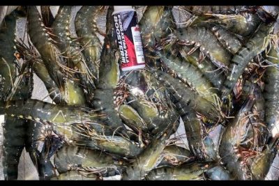 reko fishing centre 1