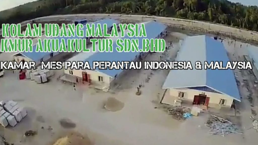 Tambak Udang Makmur Aqua Kultur Sdn Bhd 1 tambak udang makmur aqua kultur sdn bhd 1