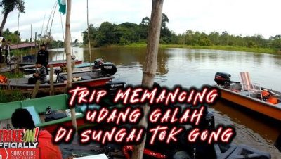 tok wan cafe kolam memancing udang galah